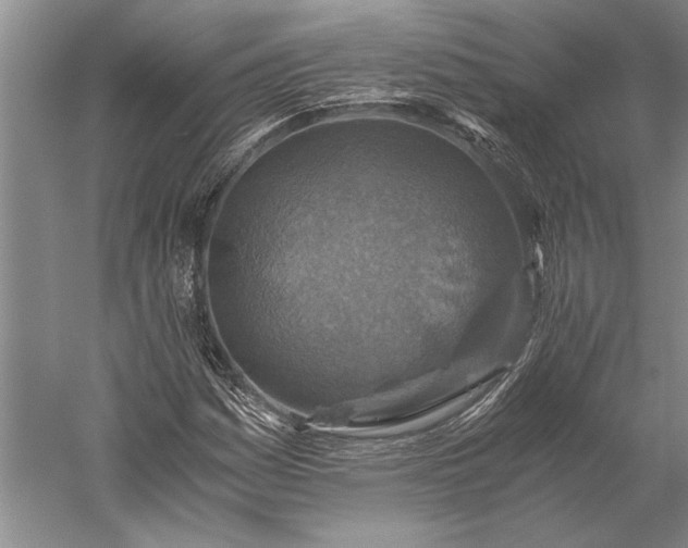 X0000056381161200509091707