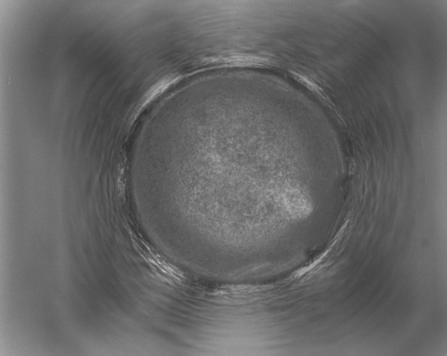 X0000056381163200509091707