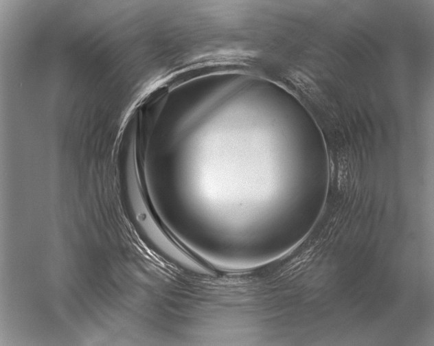 X0000056381164200509091707