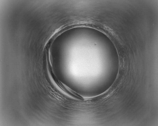 X0000056381165200509091707