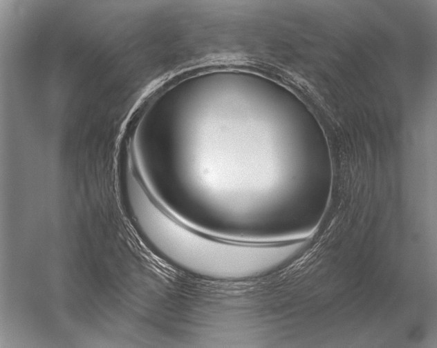 X0000056381168200509091707