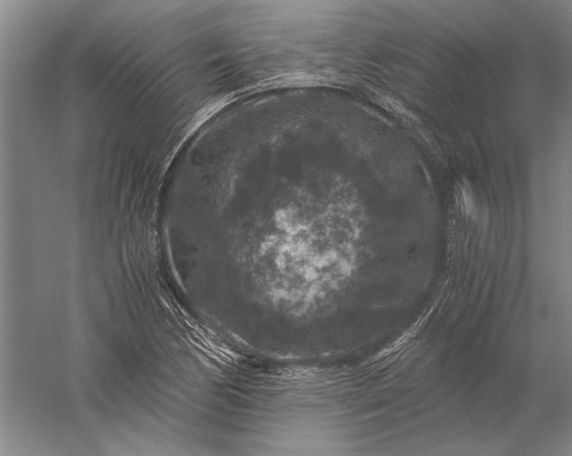 X0000056381170200509091707