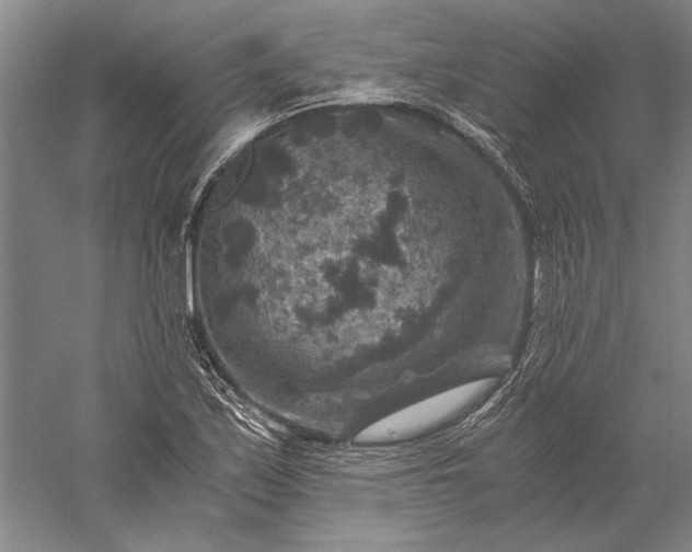 X0000056381171200509091707