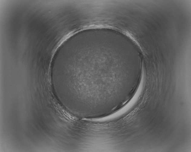 X0000056381173200509091707