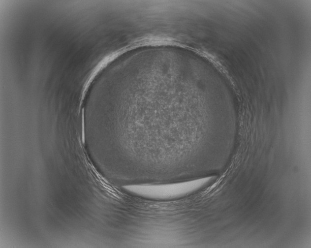 X0000056381175200509091707