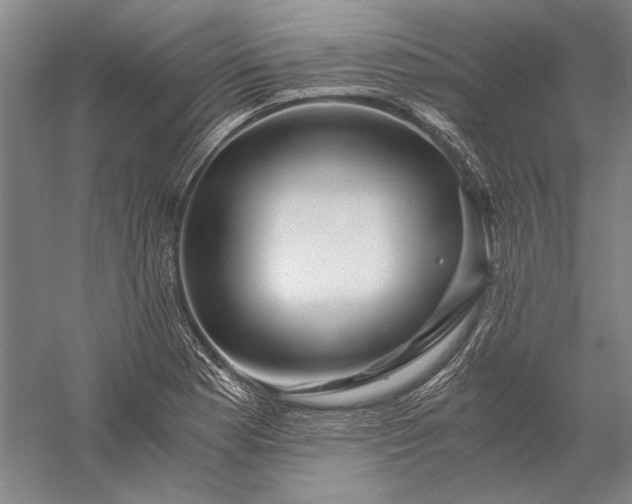 X0000056381177200509091707