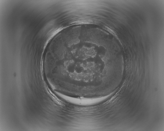 X0000056381179200509091707