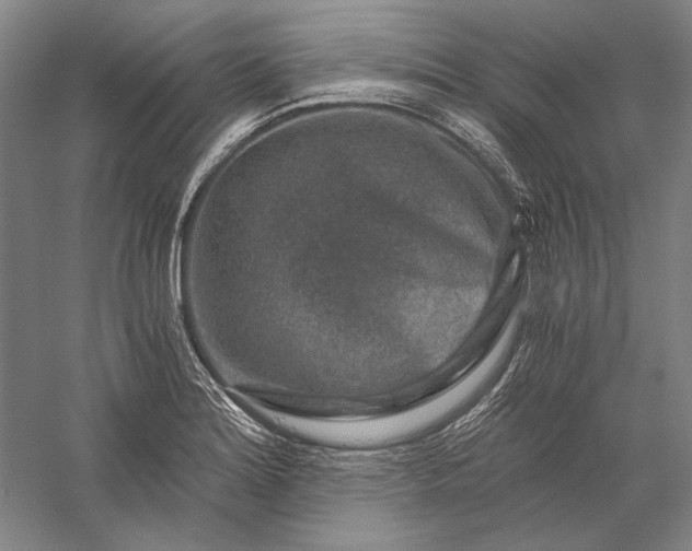 X0000056381180200509091707