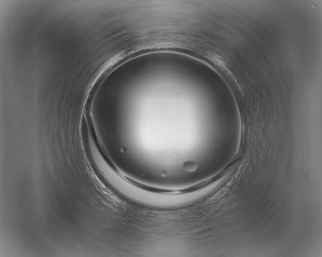 X0000056381181200509091707