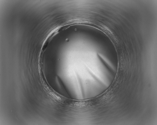 X0000056381182200509091707