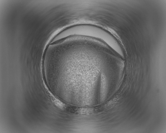 X0000056381183200509091707