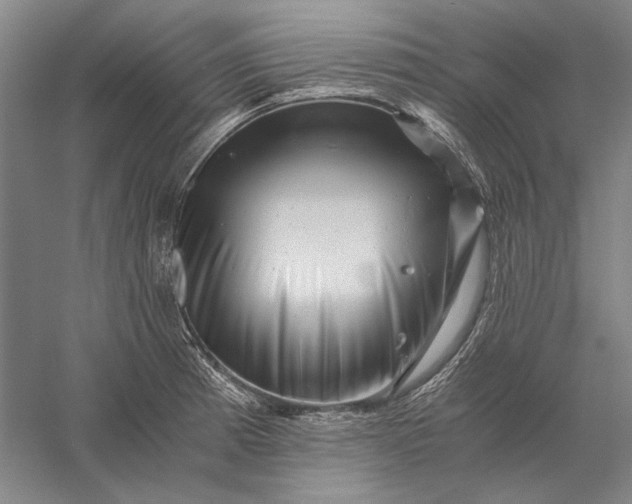 X0000056381185200509091707