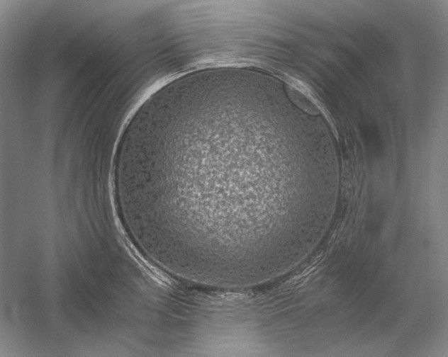 X0000056381187200509091707