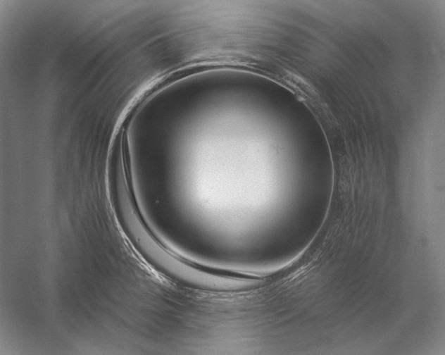 X0000056381188200509091707