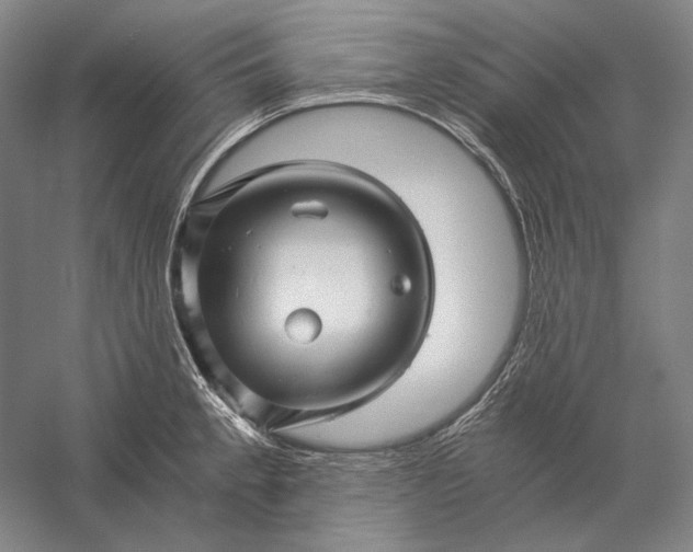 X0000056381189200509091707