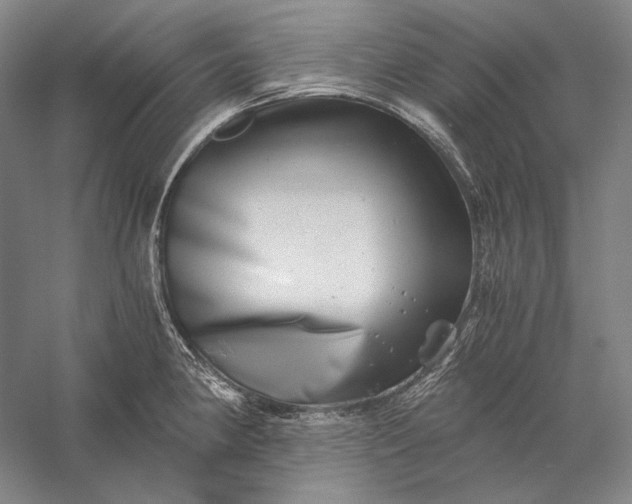 X0000056381190200509091707