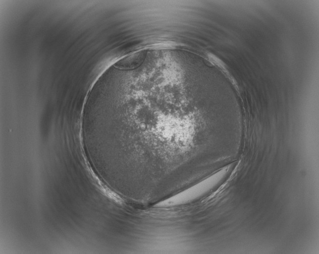 X0000056381194200509091707