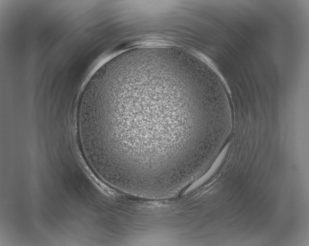 X0000056381195200509091707