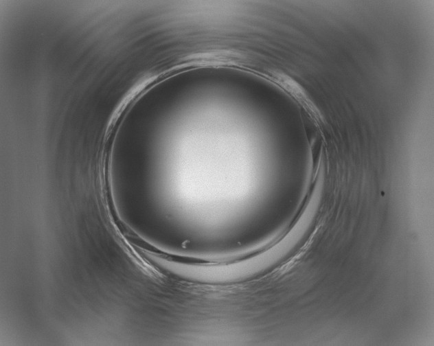 X0000056381196200509091707