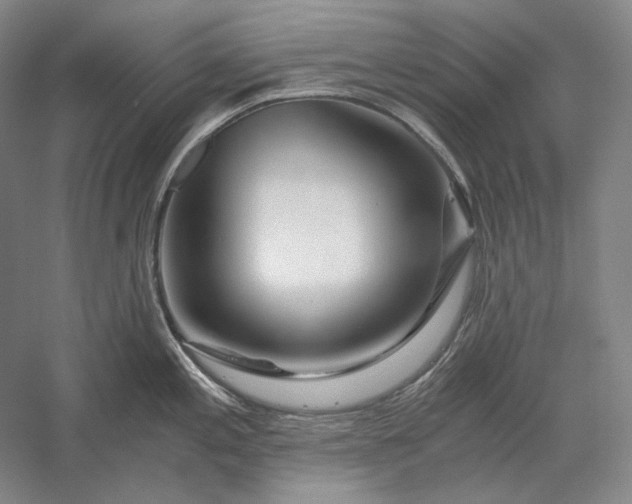 X0000056381197200509091707