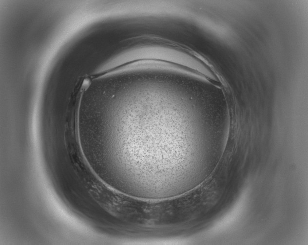 X0000056381199200509091707