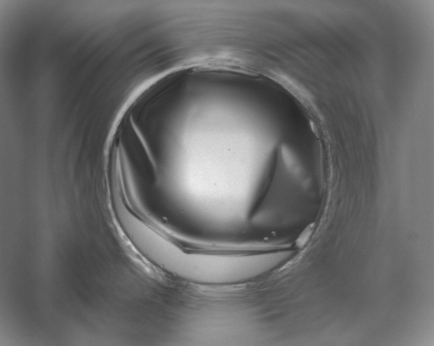 X0000056381200200509091707