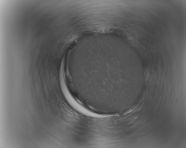 X0000056381202200509091706