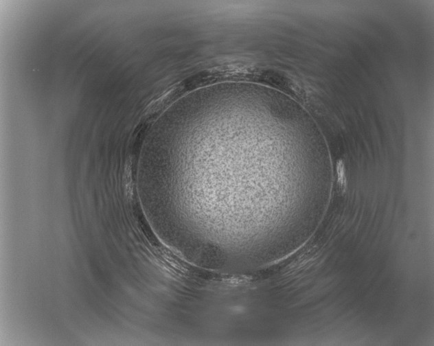 X0000056381203200509091706