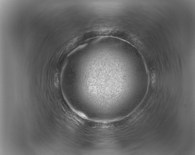 X0000056381204200509091706