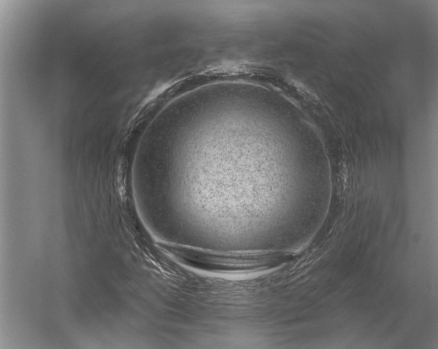 X0000056381206200509091706