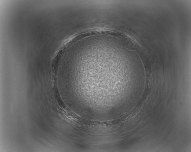 X0000056381207200509091706