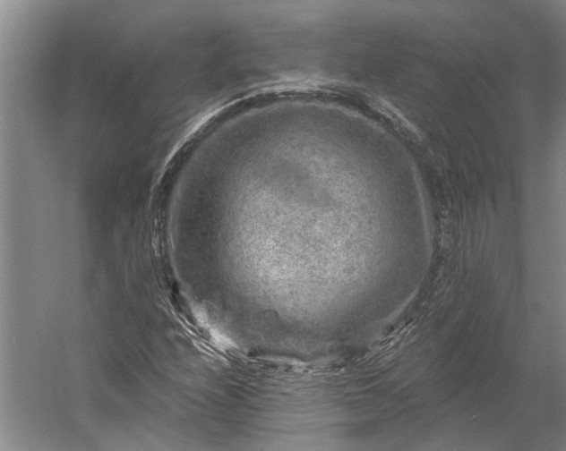 X0000056381208200509091706