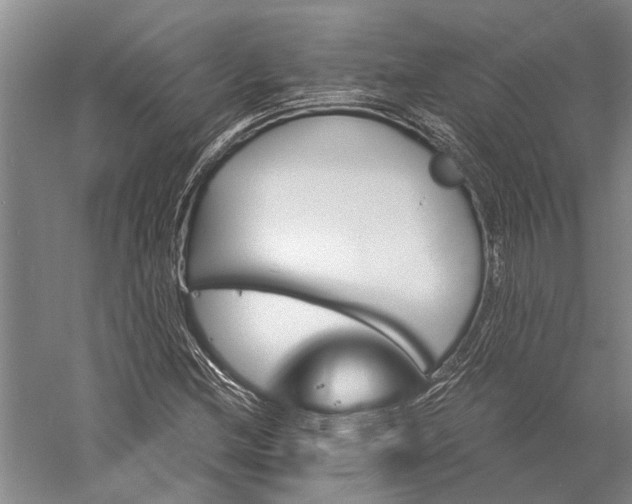 X0000056381212200509091706