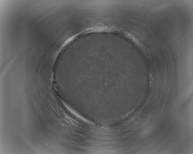 X0000056381213200509091706