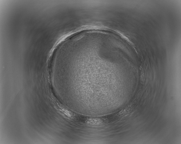 X0000056381215200509091706