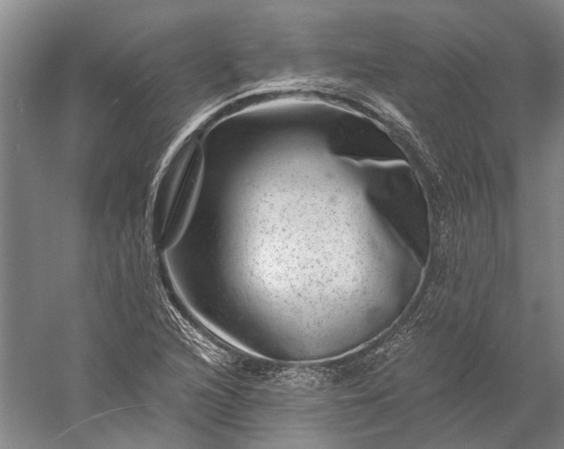 X0000056381216200509091706