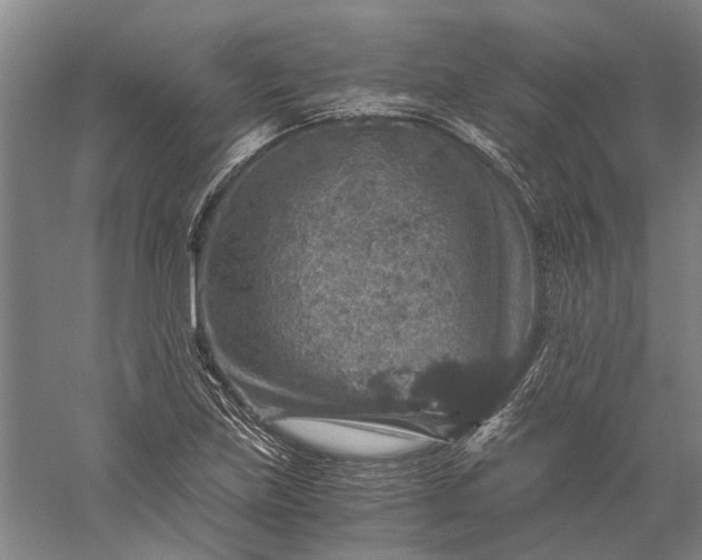 X0000056381219200509091706