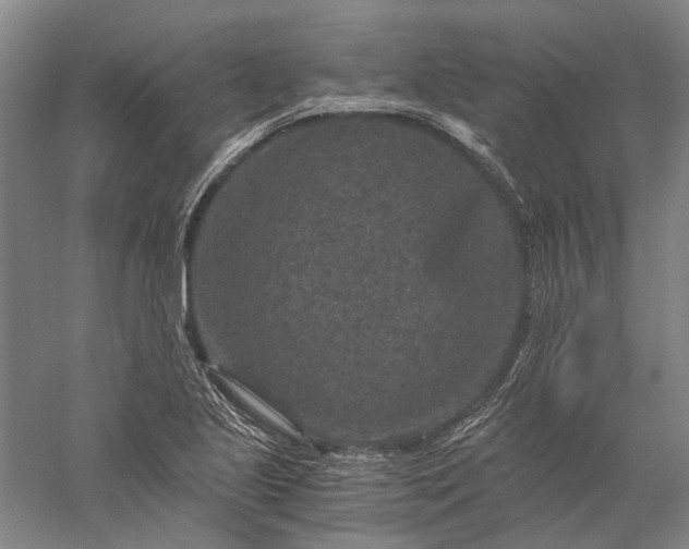 X0000056381221200509091706