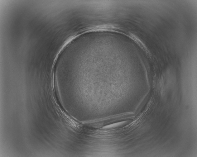 X0000056381224200509091706