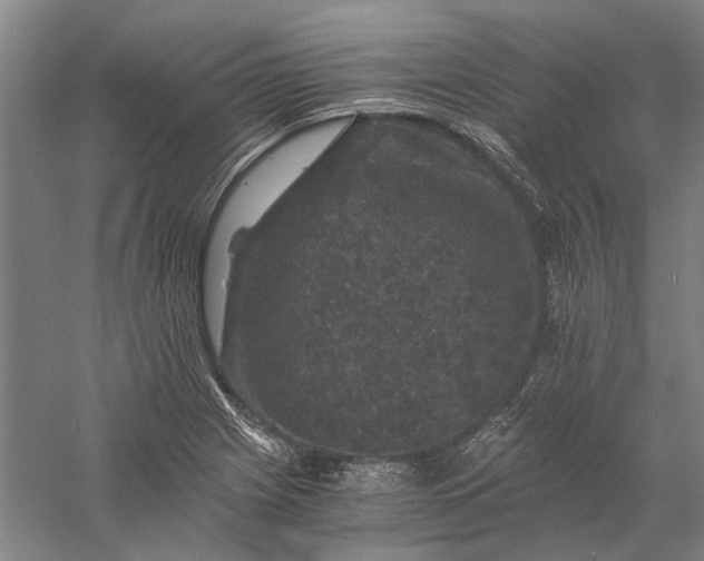 X0000056381225200509091706