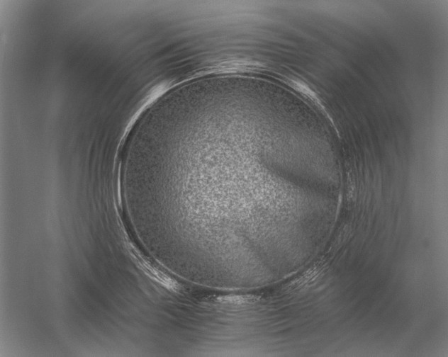 X0000056381227200509091706