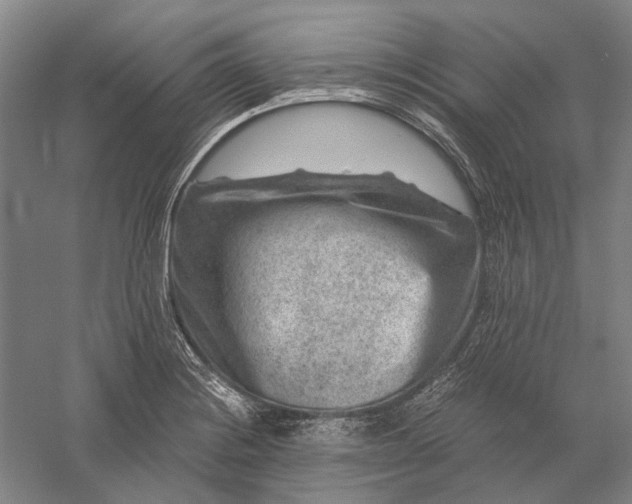 X0000056381228200509091706