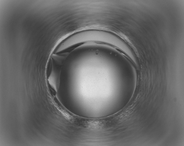 X0000056381230200509091706