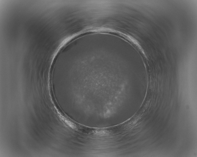 X0000056381231200509091706