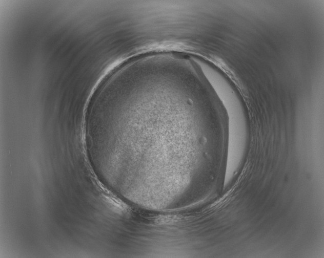 X0000056381232200509091706