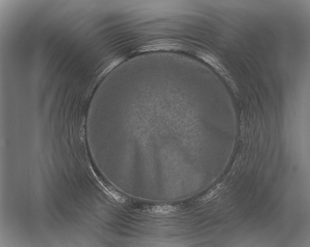 X0000056381233200509091706