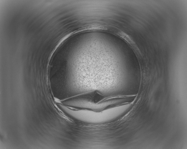 X0000056381236200509091706