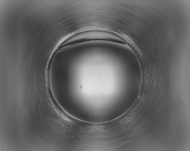 X0000056381238200509091706