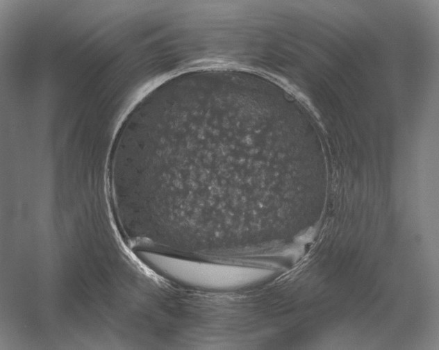 X0000056381239200509091706