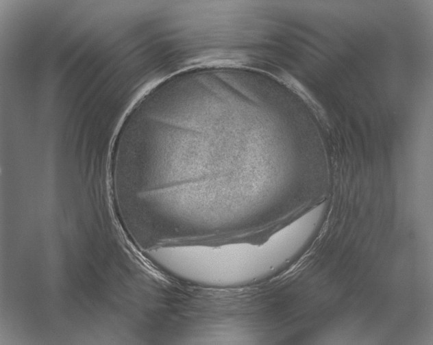 X0000056381240200509091707